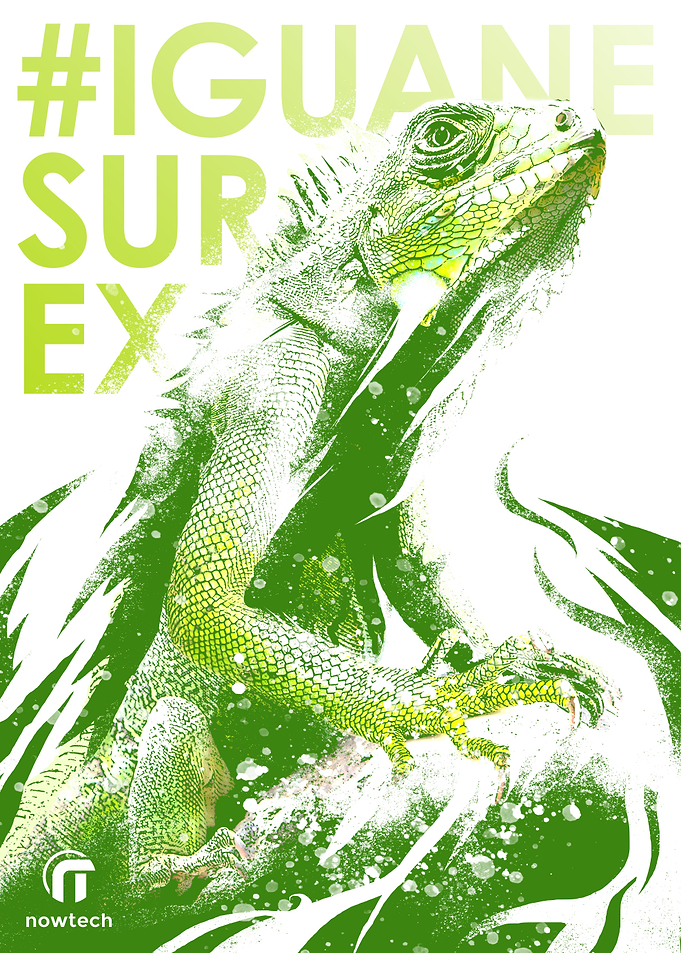 Iguane Surex