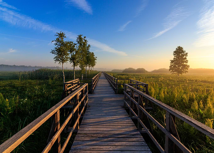 Wooden walkway