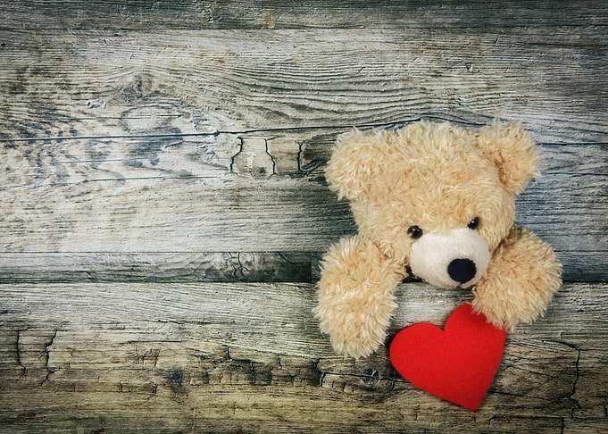 Teddy love