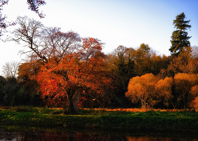 fiery autumn