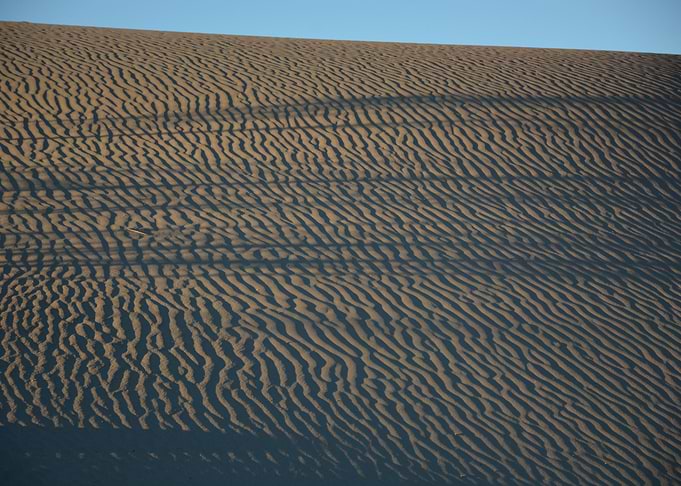Dune