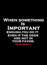 Elon Musk quote 2