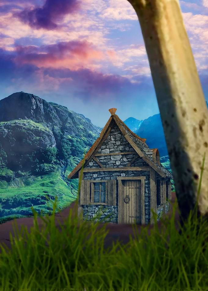 forest with home