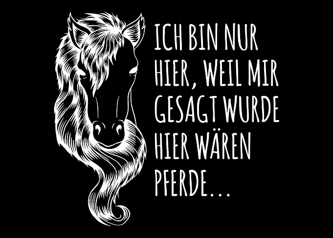 Toller Reiterin Spruch