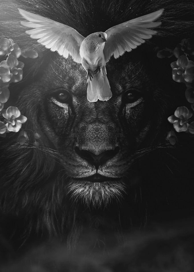 Peaceful LION king poster
