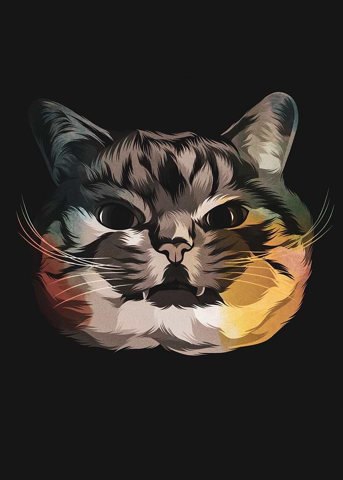 Love Cat 3