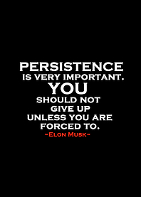 Elon Musk quote 3