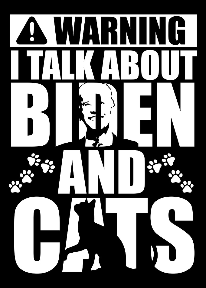 Joe Biden President USA