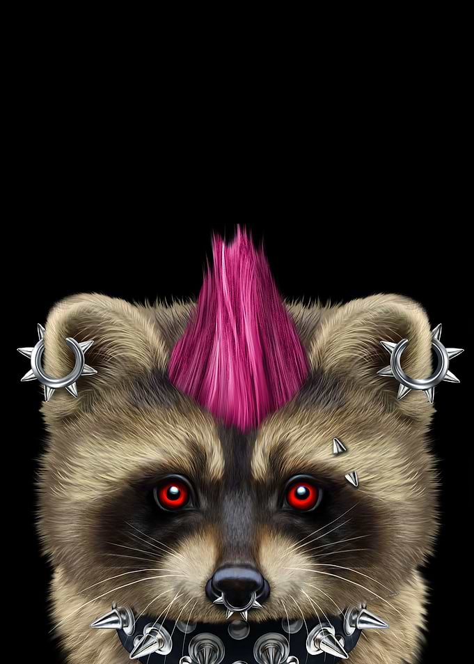 Punk Rock Cute Raccoon