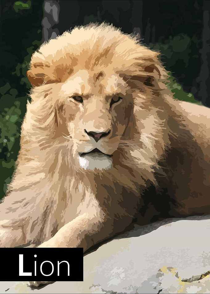 lion