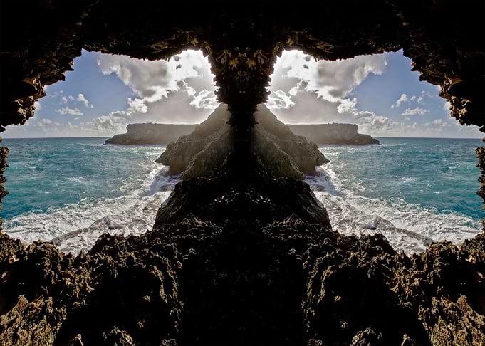 Animal Flower Cave