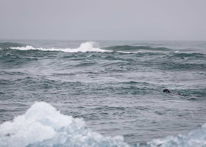 Open seas