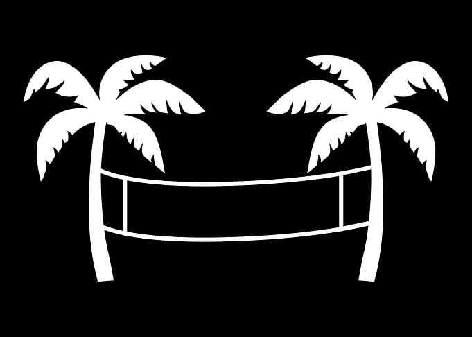 Beach volleyball field pal