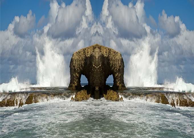 Beach Gorilla