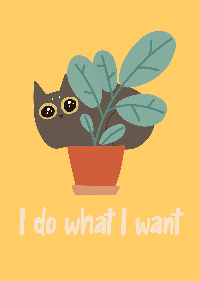Cat in Flower Pot Funny