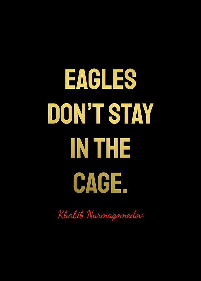 Khabib Nurmagomedov Quotes