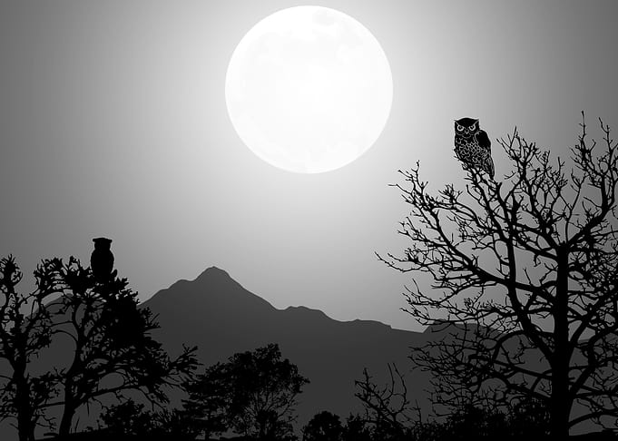 Nature Landscapes