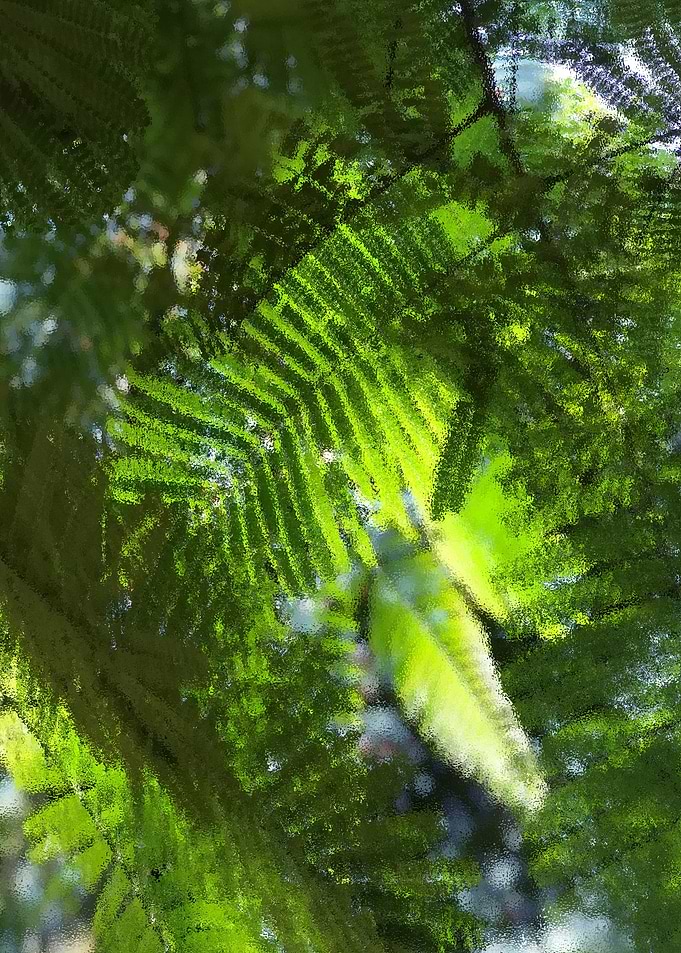 Sunlight