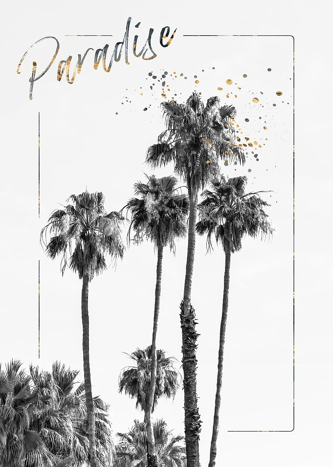Palm Trees Paradise