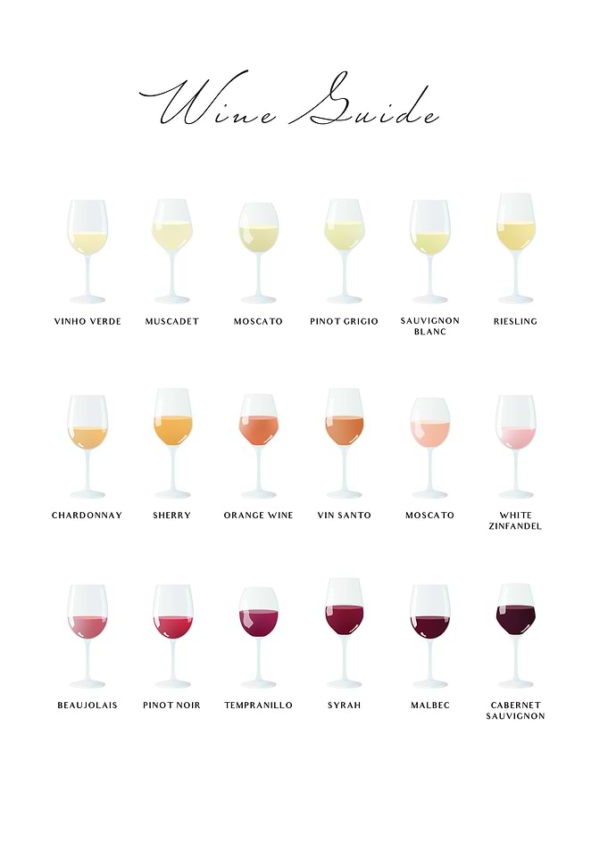 Wine Guide