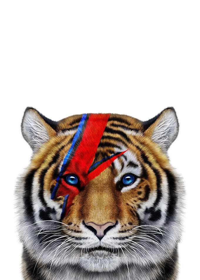 Lightning Tiger