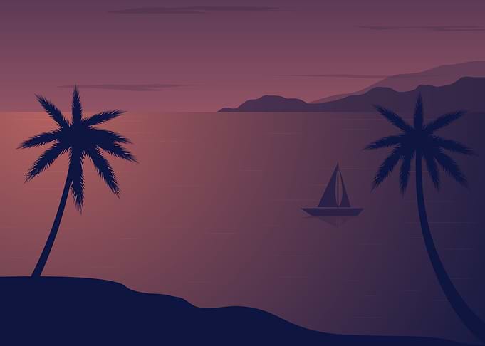 Palm Tree