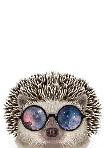 Hedgehog in Space Sunglass