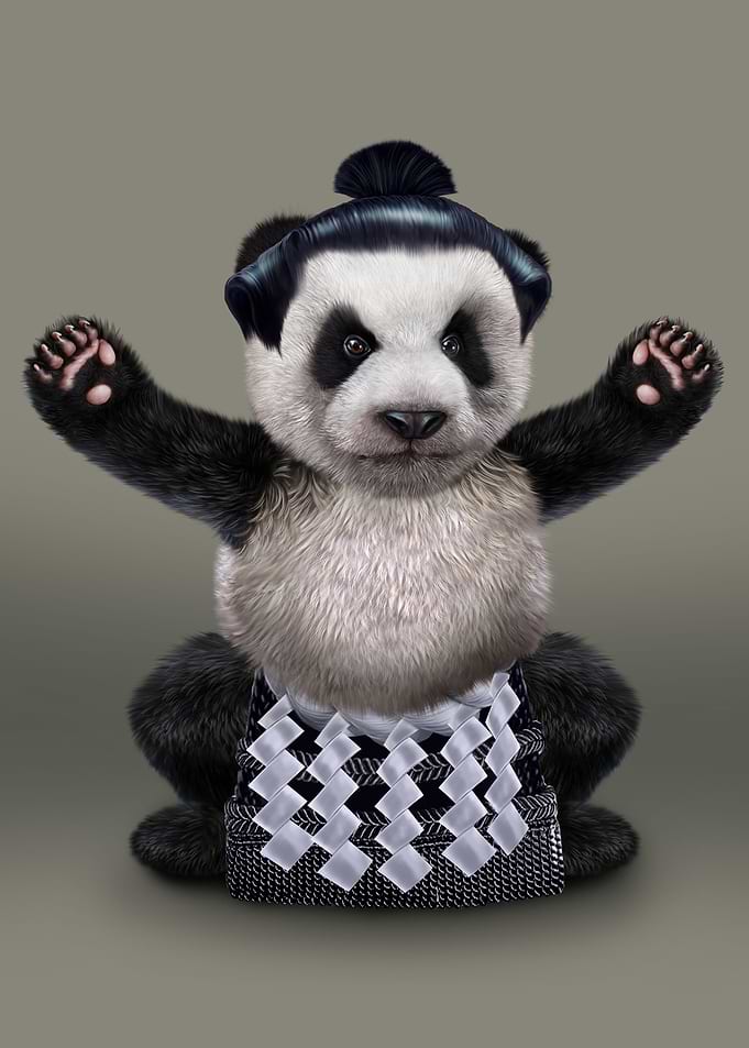 Japanese Sumo Giant Panda