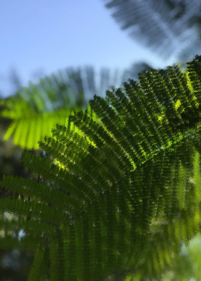 Green Shadow