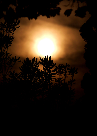 Light and Shadows