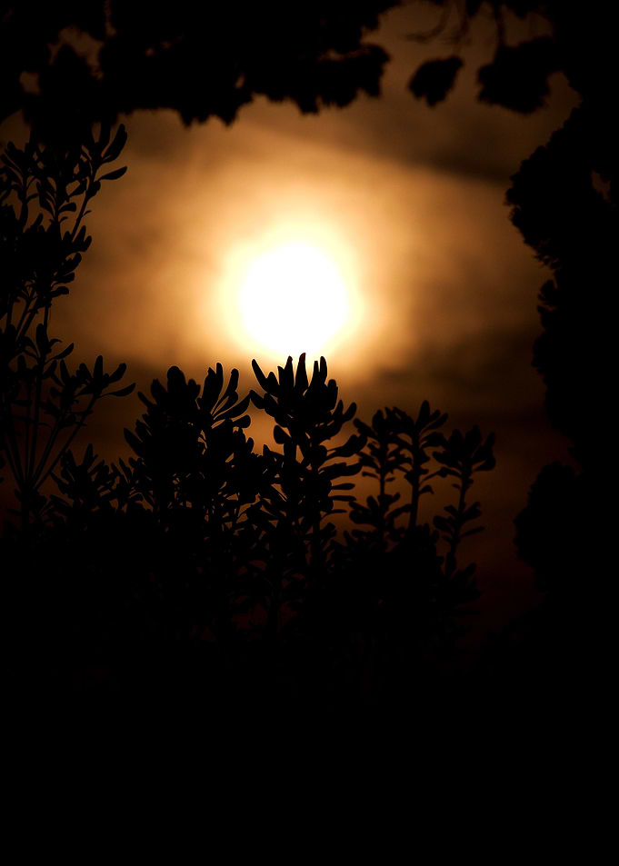 Light and Shadows