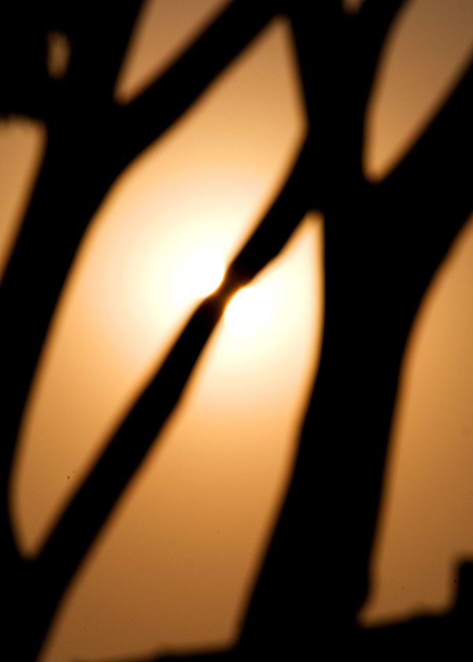 Orange and Sun