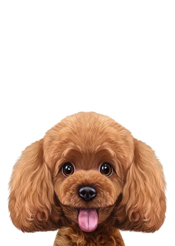Cute Poodle Dog