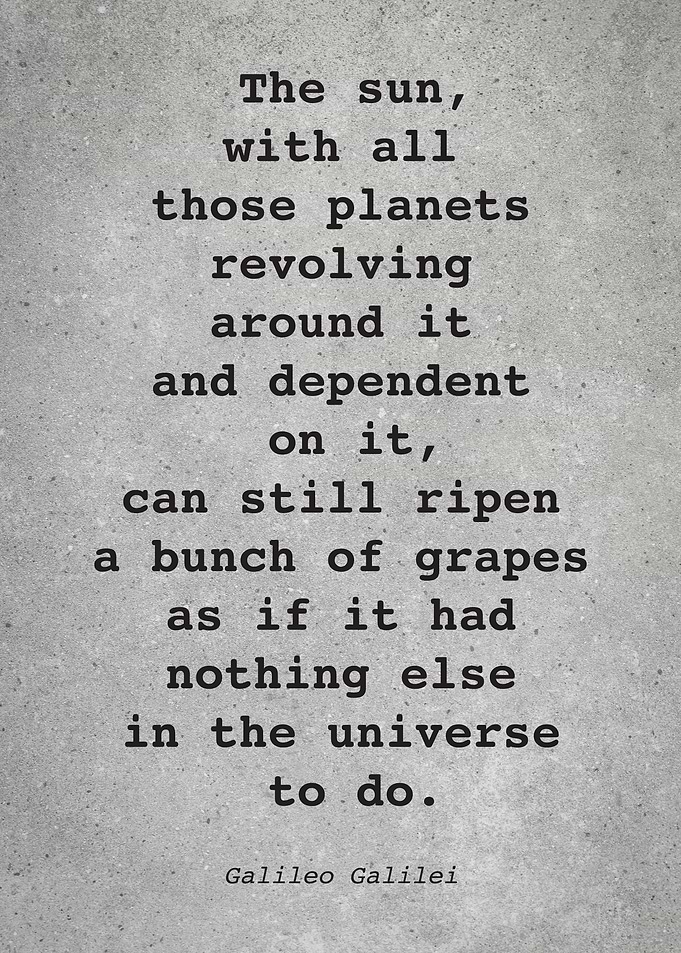Galileo Galilei Quote L011