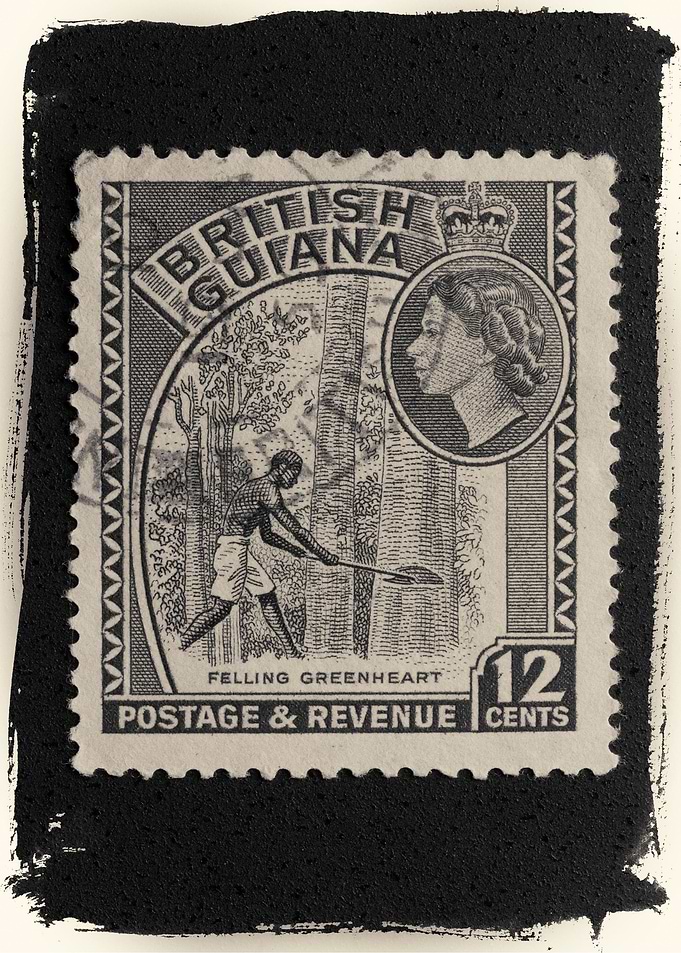 Lumber Jack in Guyana