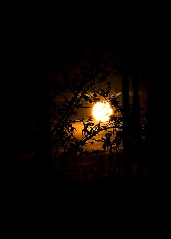 Dawn