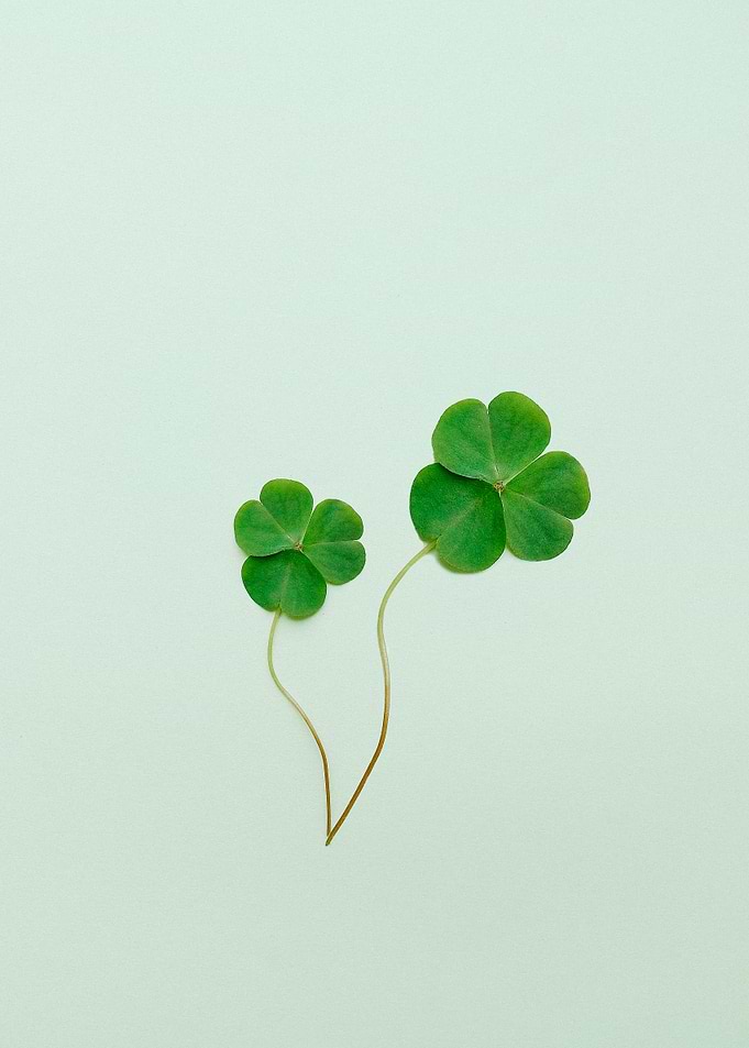 Green leaves