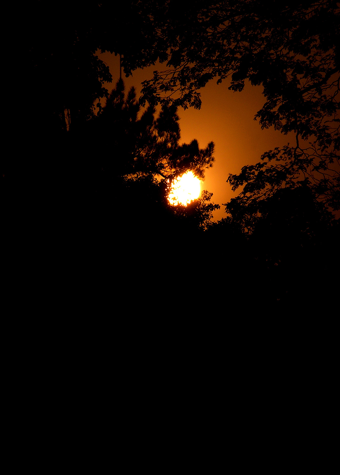 Twilight