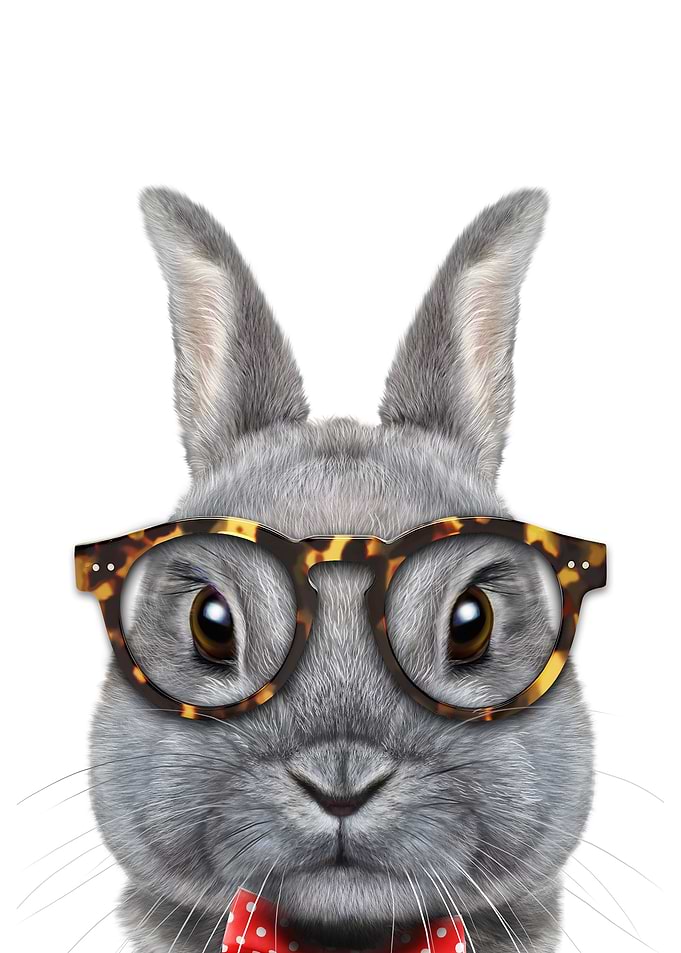 Dandy Rabbit