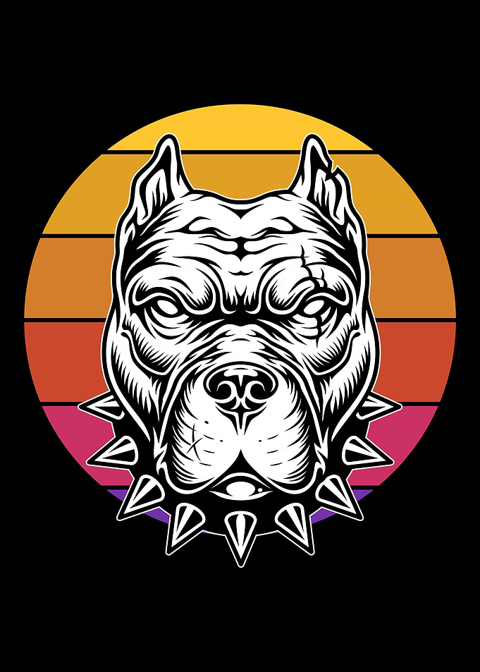 Pitbull Sunset Retro Pitbu