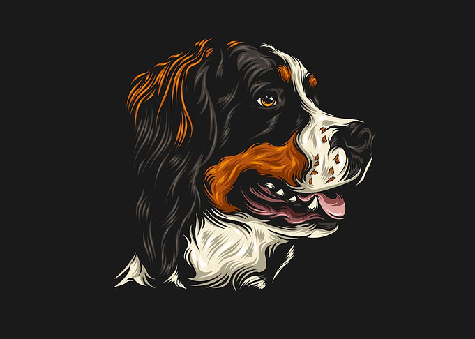 Beautiful dog head