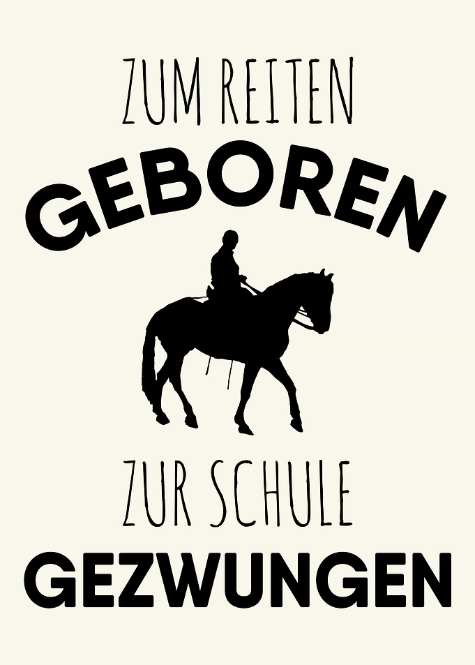 Witziger Pferde Spruch