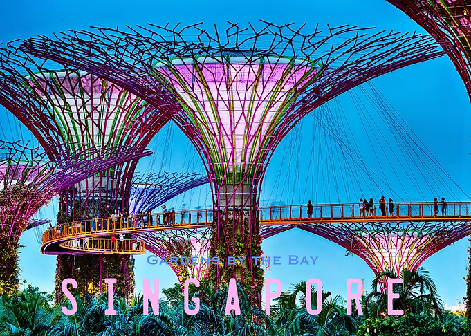 Singapore Gardens by the B