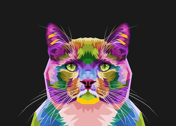 Colorful Cat fat funny cat
