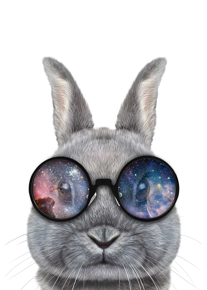 Rabbit in Space Sunglass