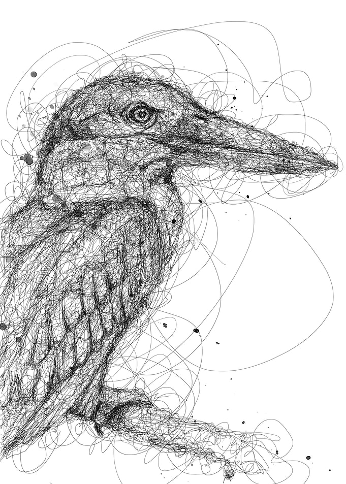 kingfisher scribble art