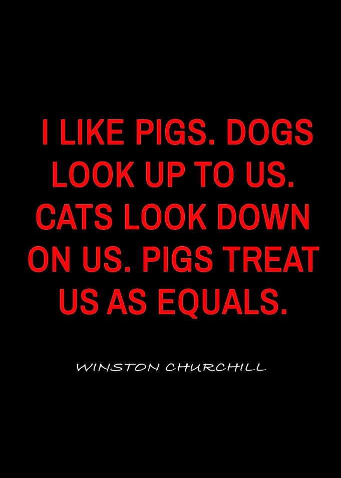 winston churchill quotes