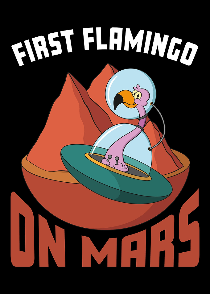 Flamingo Mars Space Lover
