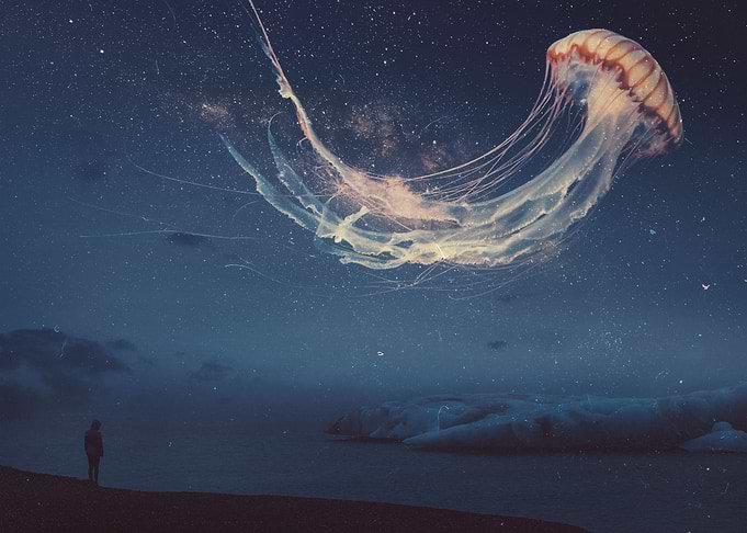 Jelly Galaxy