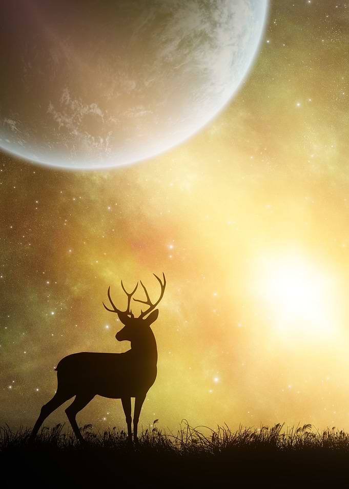 The Yellow Planet